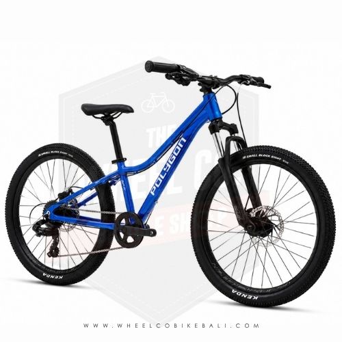 Mtb 24 Polygon Relic