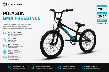 Polygon Rogue BMX 20