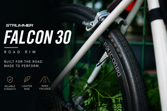 Strummer Rim Falcon 30 700 inch Disc brake