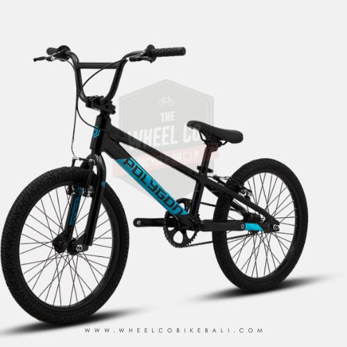 Polygon Rogue BMX 20