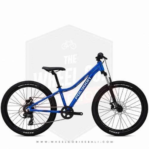 Mtb 24 Polygon Relic
