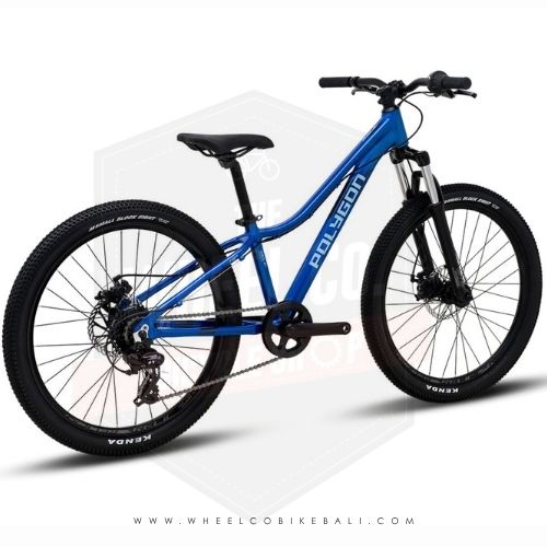 Mtb 24 Polygon Relic