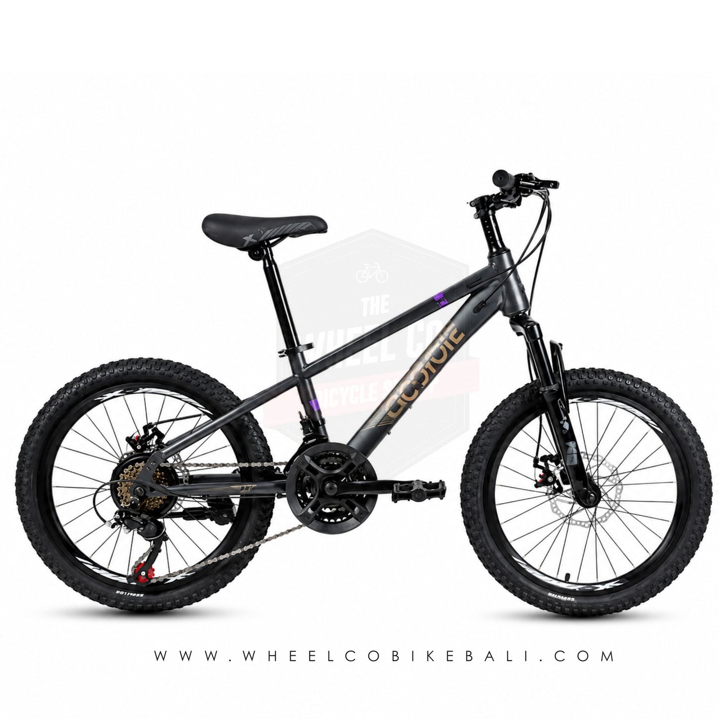 Element MTB 20 Coyote