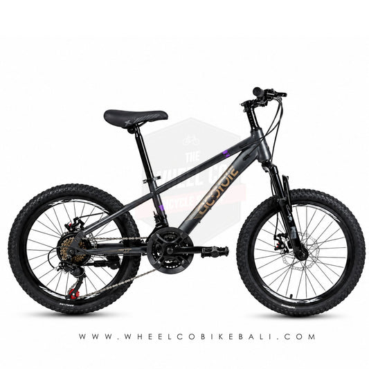 Element MTB 20 Coyote