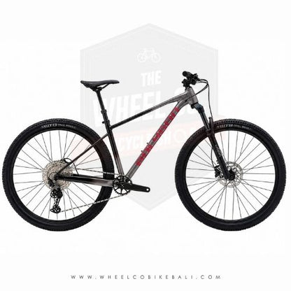 Polygon Xtrada 6 29 2026 Charcoal Black