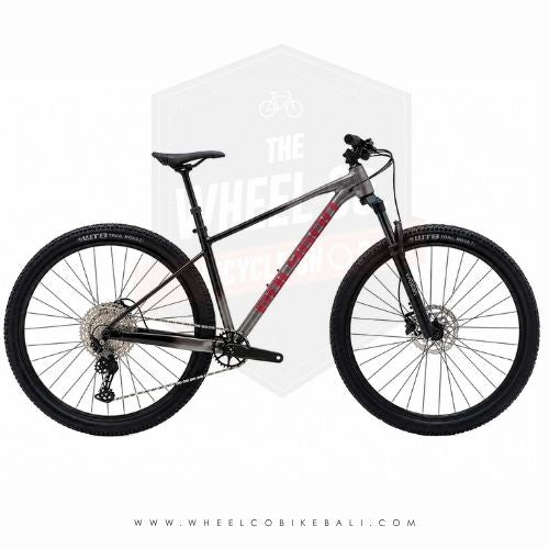 Polygon Xtrada 6 29 2026 Charcoal Black